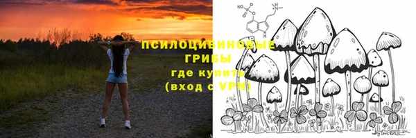 каннабис Богородицк