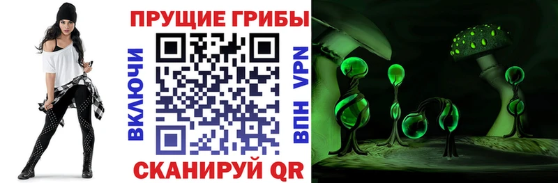 Галлюциногенные грибы Psilocybine cubensis  Купить закладки  Мелеуз 